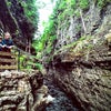 The Ausable Chasm has been described as the Grand Canyon of the Adirondacks and it's one of our top 100 things to do in New York State with kids. Photo by Anna Fader