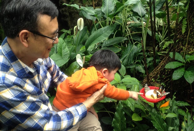 Butterfly Garden at the Houston Museum of Natural Science 