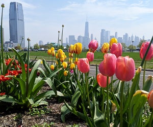 Enjoy the beauty and views at Liberty State Park, which offers a lovely destination in all seasons. Photo courtesy of the Park