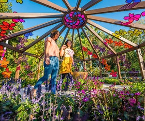 Relax amidst nature’s beauty  at Selby Gardens. 