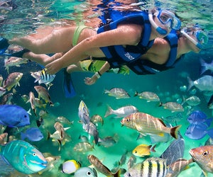 Photo of snorkeling at Xel-Ha in Mexico courtesy the water park.
