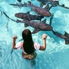 Meet nurse sharks during a day trip around the Exumas, a string of islands in the Bahamas.