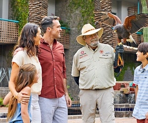 Meet the birds at the Phoenix Liberty Wildlife Experience at  the Hyatt Regency Scottsdale. Photo courtesy  of Visit Phoenix